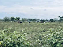 La alegr&iacute;a que brinda el ser libres