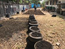 Participe en la entrega de las huertas urbanas en las comunas 8 y 15