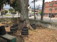 Participe en la entrega de las huertas urbanas en las comunas 8 y 15