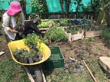 Participe en la entrega de las huertas urbanas en las comunas 8 y 15