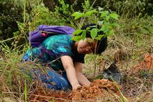 Meta de 7000 &aacute;rboles se cumpli&oacute; con Todas y Todos a Sembrar 