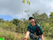 Meta de 7000 &aacute;rboles se cumpli&oacute; con Todas y Todos a Sembrar 