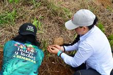 Meta de 7000 &aacute;rboles se cumpli&oacute; con Todas y Todos a Sembrar 