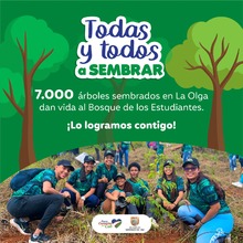 Meta de 7000 &aacute;rboles se cumpli&oacute; con Todas y Todos a Sembrar 