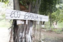 Recuperada zona en Brisas de Los &Aacute;lamos por comit&eacute; de invasiones 