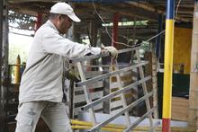 Recuperada zona en Brisas de Los &Aacute;lamos por comit&eacute; de invasiones 