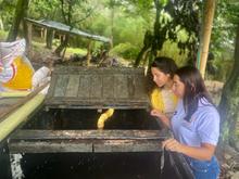 Montebello, un corregimiento donde se produce y comercializa abono org&aacute;nico