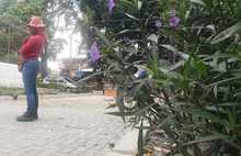 Guerreras de Infraestructura conmemoran el &lsquo;D&iacute;a Internacional de la Mujer&rsquo;