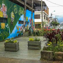 No es magia, se llama sentido de la apropiaci&oacute;n y cultura ciudadana