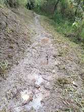 Suspenden temporalmente el ingreso a predios de conservaci&oacute;n del Dagma