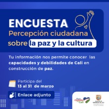 Mediante encuesta se consulta la opini&oacute;n cale&ntilde;a en torno a la paz y la convivencia