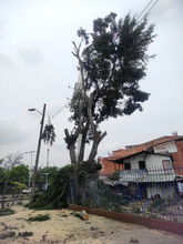 Dagma detecta nueva cuadrilla ilegal en el norte de Cali