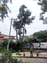 Dagma detecta nueva cuadrilla ilegal en el norte de Cali