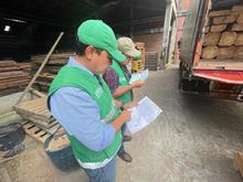 Operativos de control al tr&aacute;fico de flora silvestre contin&uacute;an dando resultados