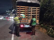 Operativos de control al tr&aacute;fico de flora silvestre contin&uacute;an dando resultados