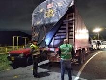 Operativos de control al tr&aacute;fico de flora silvestre contin&uacute;an dando resultados