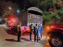 Operativos de control al tr&aacute;fico de flora silvestre contin&uacute;an dando resultados