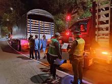 Operativos de control al tr&aacute;fico de flora silvestre contin&uacute;an dando resultados