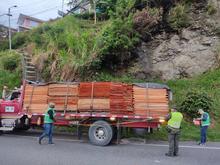 Operativos de control al tr&aacute;fico de flora silvestre contin&uacute;an dando resultados