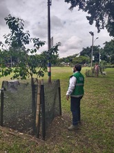 Cali, la ciudad de los 25 bosques urbanos