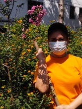 Cali, la ciudad de los 25 bosques urbanos