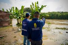 &lsquo;Fen&oacute;meno de La Ni&ntilde;a&rsquo; se debilita, pero continuar&aacute;n las precipitaciones