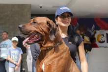 El primer d&iacute;a en familia, inici&oacute; con un recorrido al Centro de Bienestar Animal