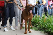 El primer d&iacute;a en familia, inici&oacute; con un recorrido al Centro de Bienestar Animal