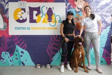 El primer d&iacute;a en familia, inici&oacute; con un recorrido al Centro de Bienestar Animal