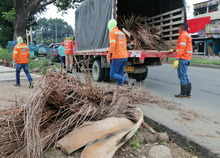 Fundaciones forestales retiraron 80 toneladas de residuos vegetales de corredores viales 