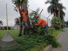 Fundaciones forestales retiraron 80 toneladas de residuos vegetales de corredores viales 