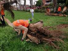 Fundaciones forestales retiraron 80 toneladas de residuos vegetales de corredores viales 
