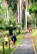Fundaciones forestales retiraron 80 toneladas de residuos vegetales de corredores viales 