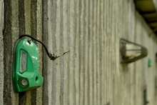 La Alcald&iacute;a de Cali le pone fin a  problem&aacute;ticas en t&uacute;nel mundialista 