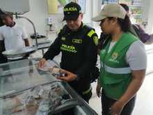 Dagma inicia operativos contra el tr&aacute;fico de fauna y flora silvestre