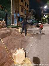 Dagma sorprende a cuadrilla ilegal en la comuna 18