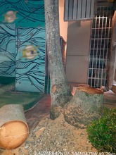 Dagma sorprende a cuadrilla ilegal en la comuna 18