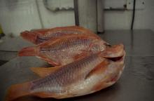 Recomendaciones de Salud P&uacute;blica Distrital para Semana Santa