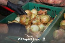 Secretar&iacute;a de Educaci&oacute;n visit&oacute; bodegas de operadores del PAE