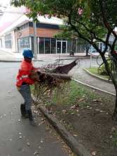 Jornadas para una &lsquo;Cali divina&rsquo; en la semana mayor