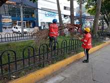 Jornadas para una &lsquo;Cali divina&rsquo; en la semana mayor