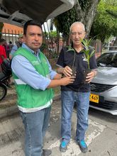 Este Domingo de Ramos no se observ&oacute; tr&aacute;fico o uso de palma de cera en Cali