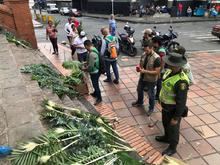 Este Domingo de Ramos no se observ&oacute; tr&aacute;fico o uso de palma de cera en Cali