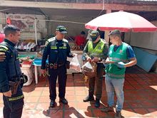 Reconozca las especies de fauna silvestre m&aacute;s amenazadas en Semana Santa