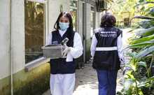 Autoridades realizaron aprehensi&oacute;n preventiva de 180 espec&iacute;menes en laboratorio de Caucaseco