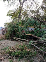 Dagma detecta reincidencia en transgresi&oacute;n ambiental
