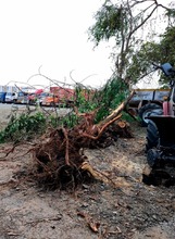 Dagma detecta reincidencia en transgresi&oacute;n ambiental