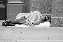 &ldquo;La curiosidad mata al gato y como el gato: mor&iacute; por curioso&rdquo;