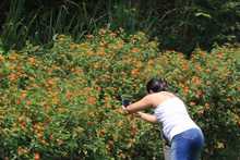 Semana de recorrido ambiental en el &ldquo;Coraz&oacute;n de Pance&rdquo;