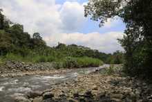 Semana de recorrido ambiental en el &ldquo;Coraz&oacute;n de Pance&rdquo;